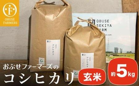 コシヒカリ 玄米  約5kg ［ おぶせファーマーズ ］ お米 コメ おこめ ご飯 精米 長野県産 ［FK-13］