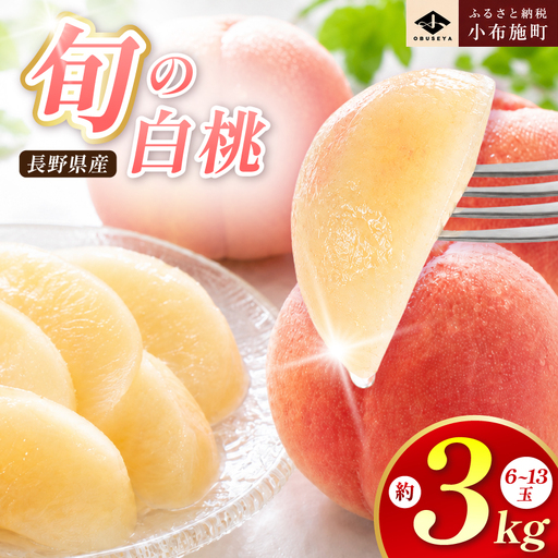 先行受付 旬の白桃 約3kg 6～13玉 2026年7月上旬～9月中旬発送［小布施屋］ 白桃 桃 もも モモ フルーツ 果物 クール便 冷蔵便 長野県産 信州産 期間限定 数量限定  たまき なつき あかつき 川中島白鳳 川中島白桃など 先行予約 [H-100]