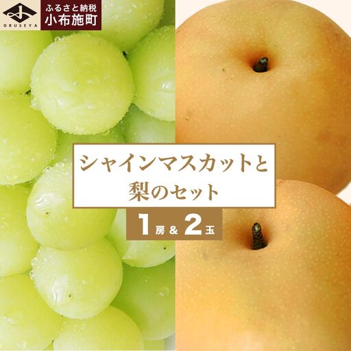 シャインマスカット1房と梨2玉 詰め合わせ ［小布施屋］令和8年産 【2026年9月中旬頃～10月下旬頃まで順次発送】 ［A-306］