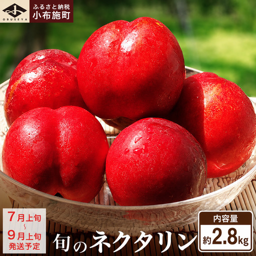 旬のネクタリン 約2.8kg 8～25玉 ［小布施屋］ 果物 フルーツ 桃 もも 長野県産 小布施 冷蔵便 クール便 産地直送 数量限定 送料無料 令和8年産 【2026年7月上旬～9月上旬発送】［A-3］