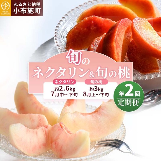 [2回定期便] 旬のネクタリン&旬の桃 約2.6〜3kg 食べ比べ 年2回定期便 2026年7月中旬〜8月下旬発送[おぶせファーマーズ]ネクタリン 白桃 桃 ルーツ 果物 冷蔵便 クール便 長野県産 信州産 小布施 令和8年 [F-69]