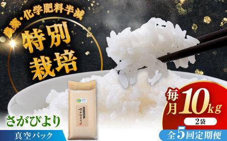 【全5回定期便】令和8年産 ななしま家 さがびより 5kg×2袋 / 白米 特別栽培 / 佐賀県 / 有限会社七島農産 [41AHAC008]