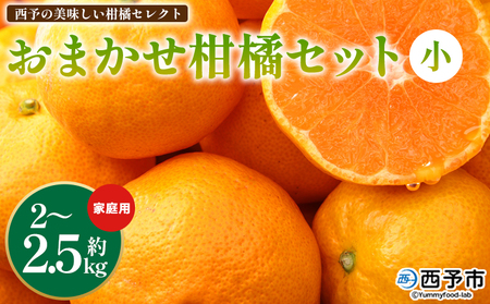＜西予の美味しい柑橘セレクト（ご家庭用）／おまかせ柑橘セット（小）約2～2.5kg＞ 果物 くだもの フルーツ 蜜柑 みかん ミカン 柑橘 ご家庭用 温州みかん 食べて応援 国産 愛媛県産 特産品 西予みかん倶楽部 愛媛県 西予市『1月に順次発送』【常温】OMC0011_01