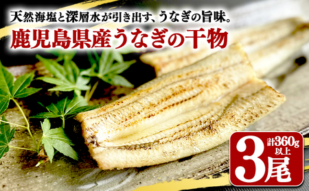 A1-1806-2609／【期間限定】鹿児島県産　うなぎ干物　1尾（120g以上）×3袋