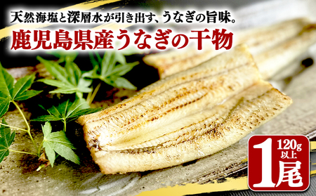 W-1805-2609／【期間限定】鹿児島県産　うなぎ干物　1尾（120g以上）