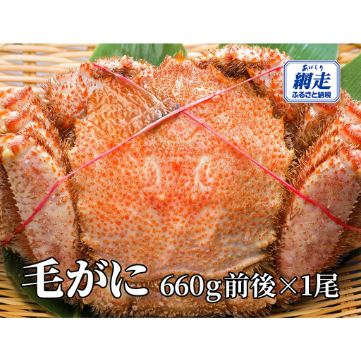 網走産 毛がに660g前後×1尾 ABW106