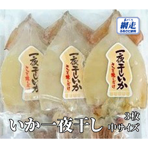 いか一夜干し 3枚 中サイズ ABW112