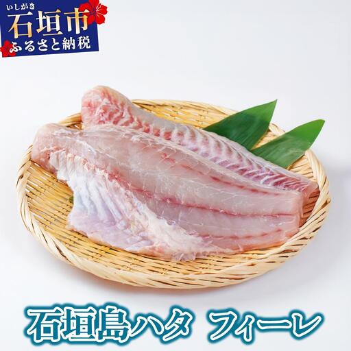 石垣島 ハタ フィーレ