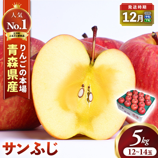 青森県産りんご サンふじ 約5kg 12月中旬～ りんご
