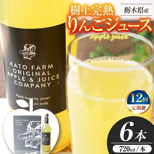 [ふるなび限定企画]【定期便12回】栃木県矢板市産 樹上完熟100％りんごジュース 720ml×6本入  | 林檎 リンゴ 果汁100% 産地直送 (毎月お届け） FN-Limited-PR
