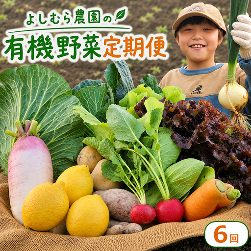 【定期便6回】 有機野菜 オーガニック野菜 よしむら農園