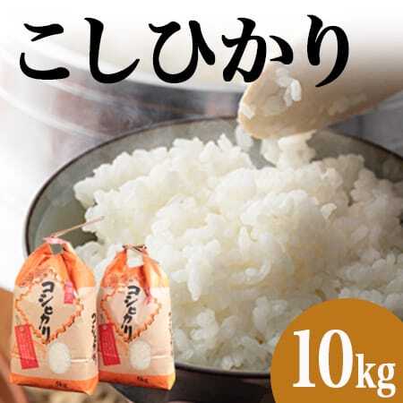 令和7年産 郡上産こしひかり 10kg