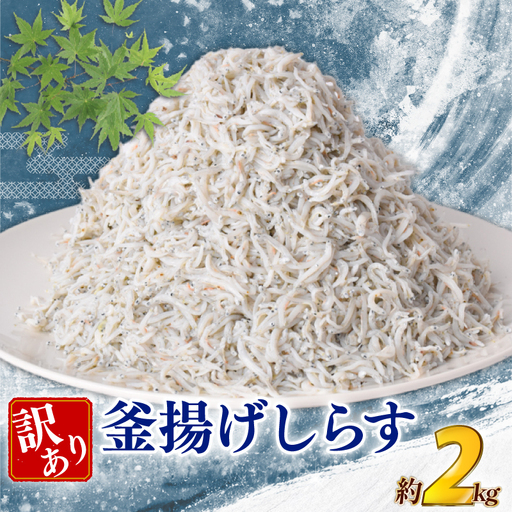 訳あり 釜揚げしらす 約2kg 【しらす】
