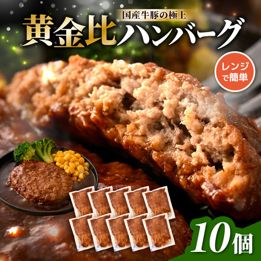 デミグラスハンバーグ 10個入り 簡単調理 ハンバーグ [A-0587]