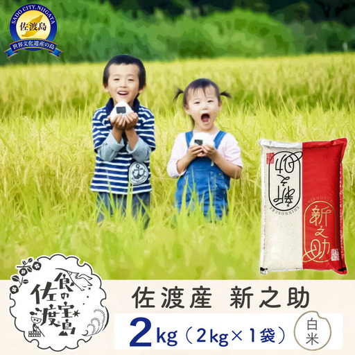 【ふるさと納税】佐渡島産 新之助 白米2kg×1袋