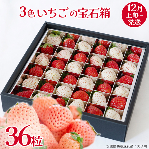 3色いちご の宝石箱36粒【2026年12月上旬発送開始】(茨城県共通返礼品