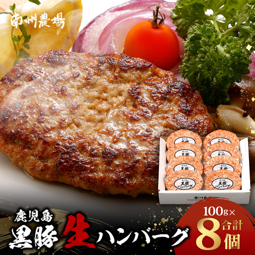 鹿児島県産 黒豚生ハンバーグセット（8個入）冷凍 NS-12 ｜ 肉 お肉 豚肉 豚 にく ぶた かごしま黒豚 焼くだけ おかず お弁当 ジューシー 小分け ギフト おかず お弁当 国産 鹿児島県 南大隅町 南州農場