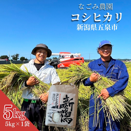 【令和8年産】コシヒカリ 5kg なごみ農園 新潟｜コシヒカリ こしひかり