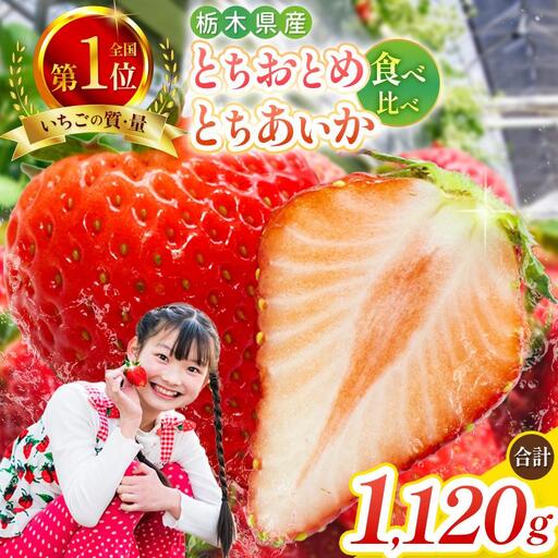 [12月より順次発送・秘密にしたい美味しさ] 朝獲れ新鮮とちおとめ、とちあいかの食べ比べセット 1120g|いちご とちおとめ とちあいか 苺 フルーツ 果物 美味しい 産地直送 関農園 先行予約