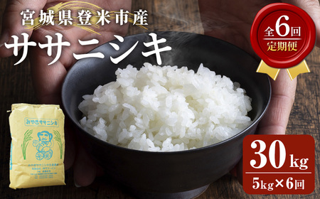 ≪6ヶ月定期便≫ 登米市産 ササニシキ 30kg (5kg×6回) お米 おこめ 米 コメ 白米 ご飯 ごはん おにぎり お弁当 頒布会[有限会社PFTサービス]tm478