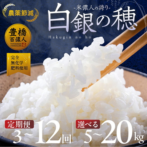 米 令和7年産 白銀の穂 10kg 白米
