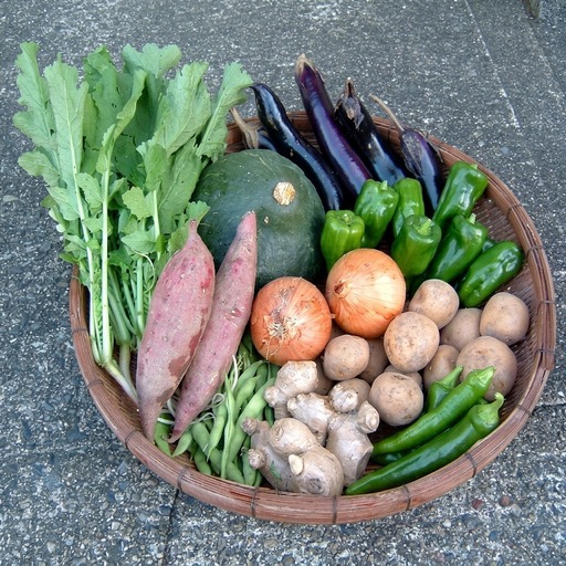 「エコの環」野菜の詰め合わせ セット 詰合せ 