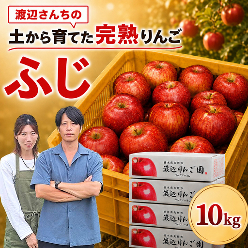 りんご 完熟 ふじ 10kg 箱｜【11月下旬より順次お届け】リンゴ 林檎 フルーツ 果物 栃木県矢板市産