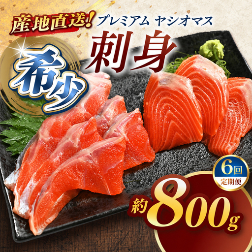 【定期便6回】産地直送栃木県のブランド魚「プレミアムヤシオマス」の刺身 800g (200g×4パック)  [ 冷凍便 ] | 魚 ます 養殖 産地直送 栃木県 (毎月お届け）