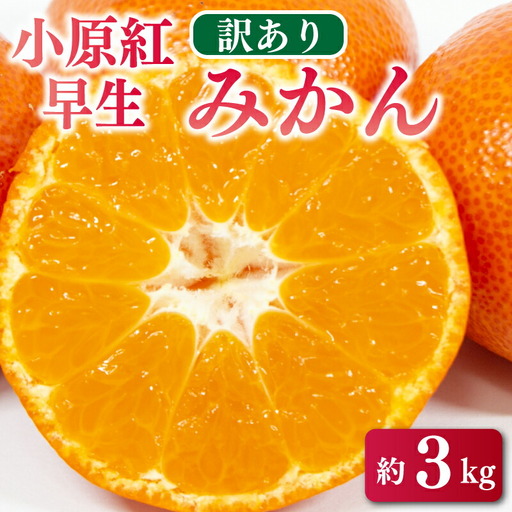 【みかん】 訳あり みかん 3kg 小原紅早生 蜜柑 【蜜柑】