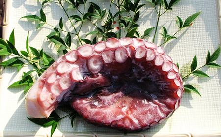 丸々太ったボイルタコ 1本 魚貝類 たこ タコ 茹で 刺身 たこ焼き 炒め物 酢の物 フライ 天ぷら 冷凍 日本海産 惣菜 日本酒 肴 珍味 日本酒 お取り寄せ 食品 食べ物 おつまみ 贈り物 プレゼント 家庭用 自宅用 送料無料 シーフード myz02