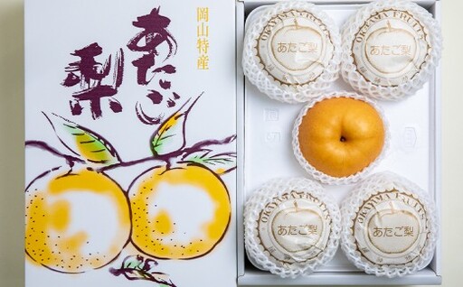 あたご梨 3〜9玉 約4kg 家庭用 なし 梨 愛宕梨 ナシ 果物 フルーツ 果実 岡山県 倉敷市 [2025年11月下旬〜12月下旬迄順次発送予定]