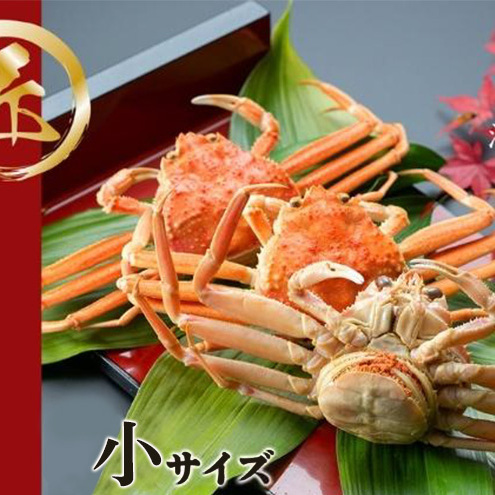 [11月中旬〜12月下旬発送]セコガニ コッペがに 小サイズ 8〜 10杯セット 蟹 セコガニ