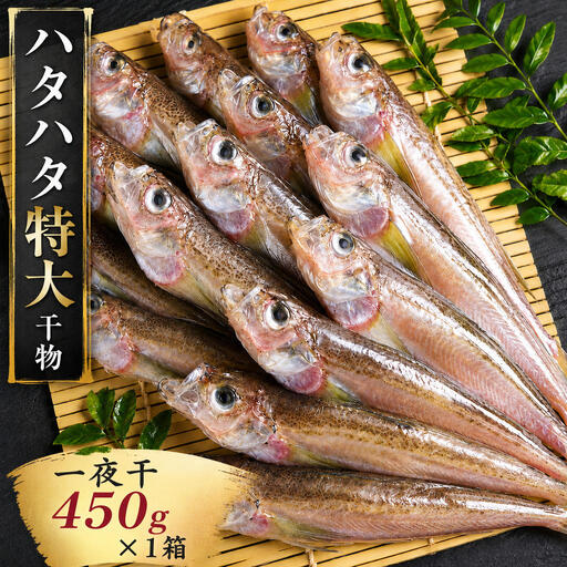 ハタハタ 特大 450g 1箱 干物 一夜干し × 海鮮 干物 ハタハタ