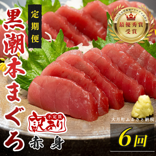 訳あり 不定貫 定期便 6回 高知県産 本マグロ 赤身 養殖 120g (PT0080_0460)