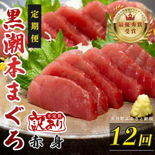 訳あり 不定貫 定期便 12回 高知県産 本マグロ 赤身 養殖 120g (PT0080_0461)