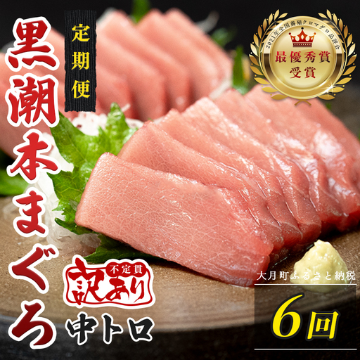 訳あり 不定貫 定期便 6回 高知県産 本マグロ 中トロ 養殖 120g (PT0080_0463)
