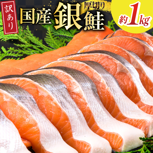 訳あり 国産 減塩 厚切り 塩銀鮭 切身 計 1kg