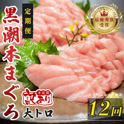 訳あり 不定貫 定期便 12回 高知県産 本マグロ 大トロ 養殖 120g (PT0080_0467)