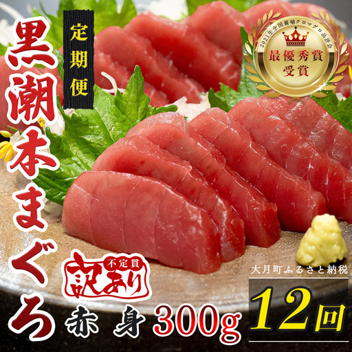 訳あり 不定貫 定期便 12回 高知県産 本マグロ 赤身 養殖 300g (PT0080_0470)
