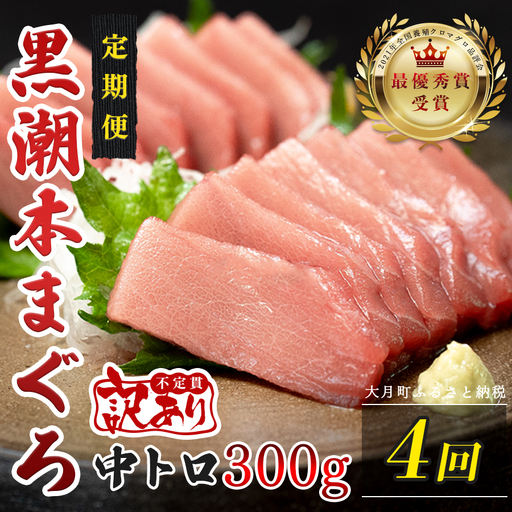 訳あり 不定貫 定期便 4回 高知県産 本マグロ 中トロ 養殖 300g (PT0080_0471)