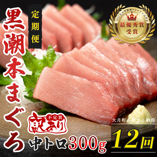 訳あり 不定貫 定期便 12回 高知県産 本マグロ 中トロ 養殖 300g (PT0080_0473)