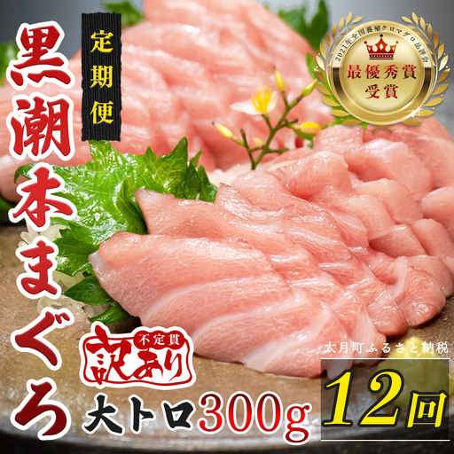 訳あり 不定貫 定期便 12回 高知県産 本マグロ 大トロ 養殖 300g (PT0080_0476)