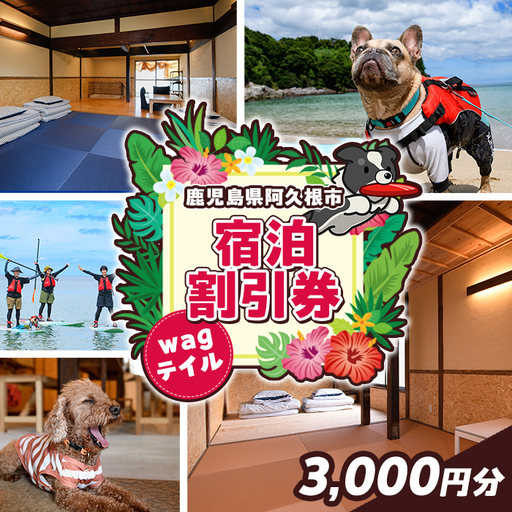 wagテイル 宿泊割引券(3,000円分) チケット 宿泊券 ゲストハウス ホステル ホテル 自然 アクティビティ 体験 SUP リバートレッキング ペット 愛犬 愛猫 動物 [wagテイル]akn101-03