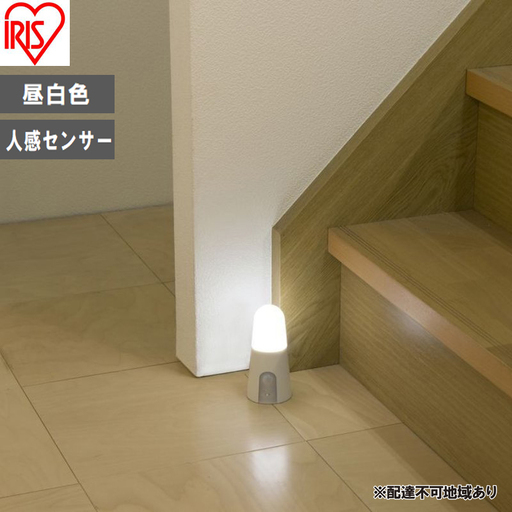 乾電池式LEDセンサーライト スタンドタイプ BSL40SN-WV2