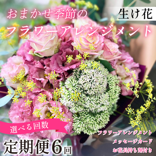 季節の 花 フラワーアレンジメント 定期便 6回 花