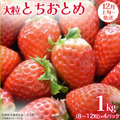 とちおとめ 大粒 250g（8～12粒）×4パック【2026年12月上旬発送開始】(茨城県共通返礼品：大子町) いちご 苺 果物 フルーツ 果実