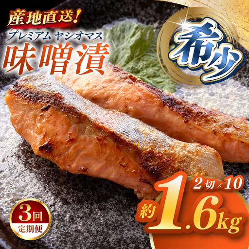 【定期便3回】「プレミアムヤシオマス」の味噌漬 2切入×10パック  [ 冷凍便 ] | 魚 ます 養殖 産地直送 栃木県 (毎月お届け）