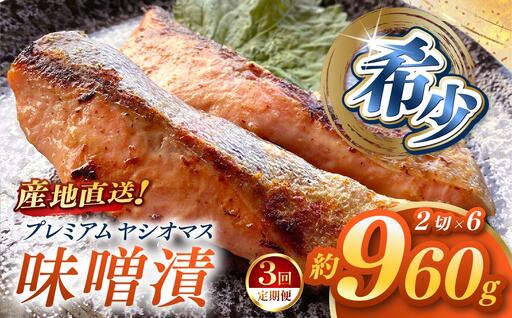 [定期便3回]「プレミアムヤシオマス」の味噌漬 2切入×6パック [ 冷凍便 ] | 魚 ます 養殖 産地直送 栃木県 (毎月お届け)