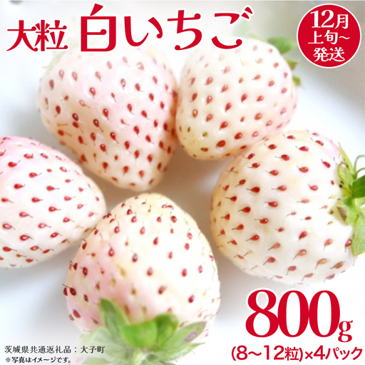 白いちご 大粒 200ｇ（8～12粒）×4パック【2026年12月上旬発送開始】(茨城県共通返礼品：大子町) いちご 苺 果物 フルーツ 果実