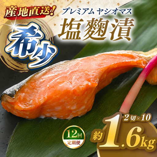 【定期便12回】「プレミアムヤシオマス」の塩麹漬 2切入×10パック  [ 冷凍便 ] | 魚 ます 養殖 産地直送 栃木県 (毎月お届け）